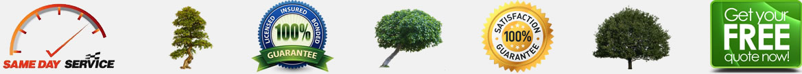 Cheap Tree Service Free Quotes