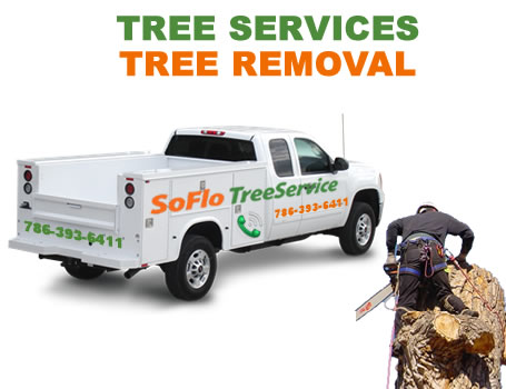 Tree Service Palm Springs North