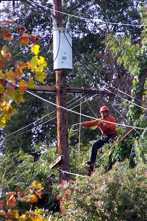 Utility Line Clearance