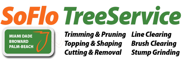 SoFlo Tree Service